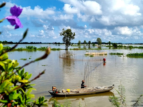 THÁNG 11/2022